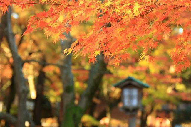 Kanazawa guest house NANA Zewnętrze zdjęcie