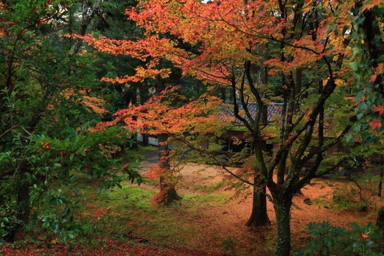 Kanazawa guest house NANA Zewnętrze zdjęcie